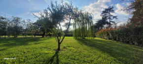 Il giardino di Marianna Novi Ligure